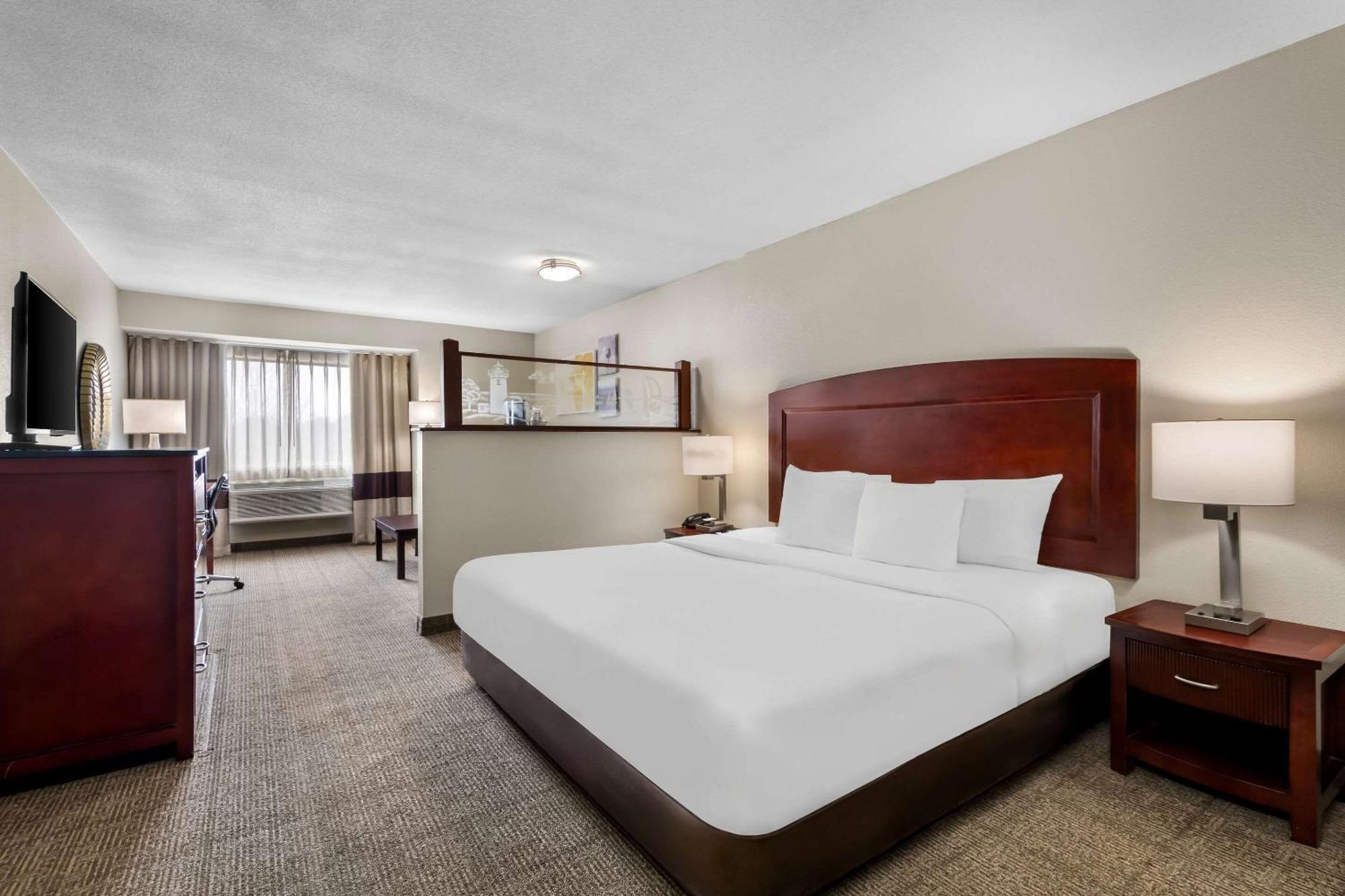 Comfort & Hotel North East