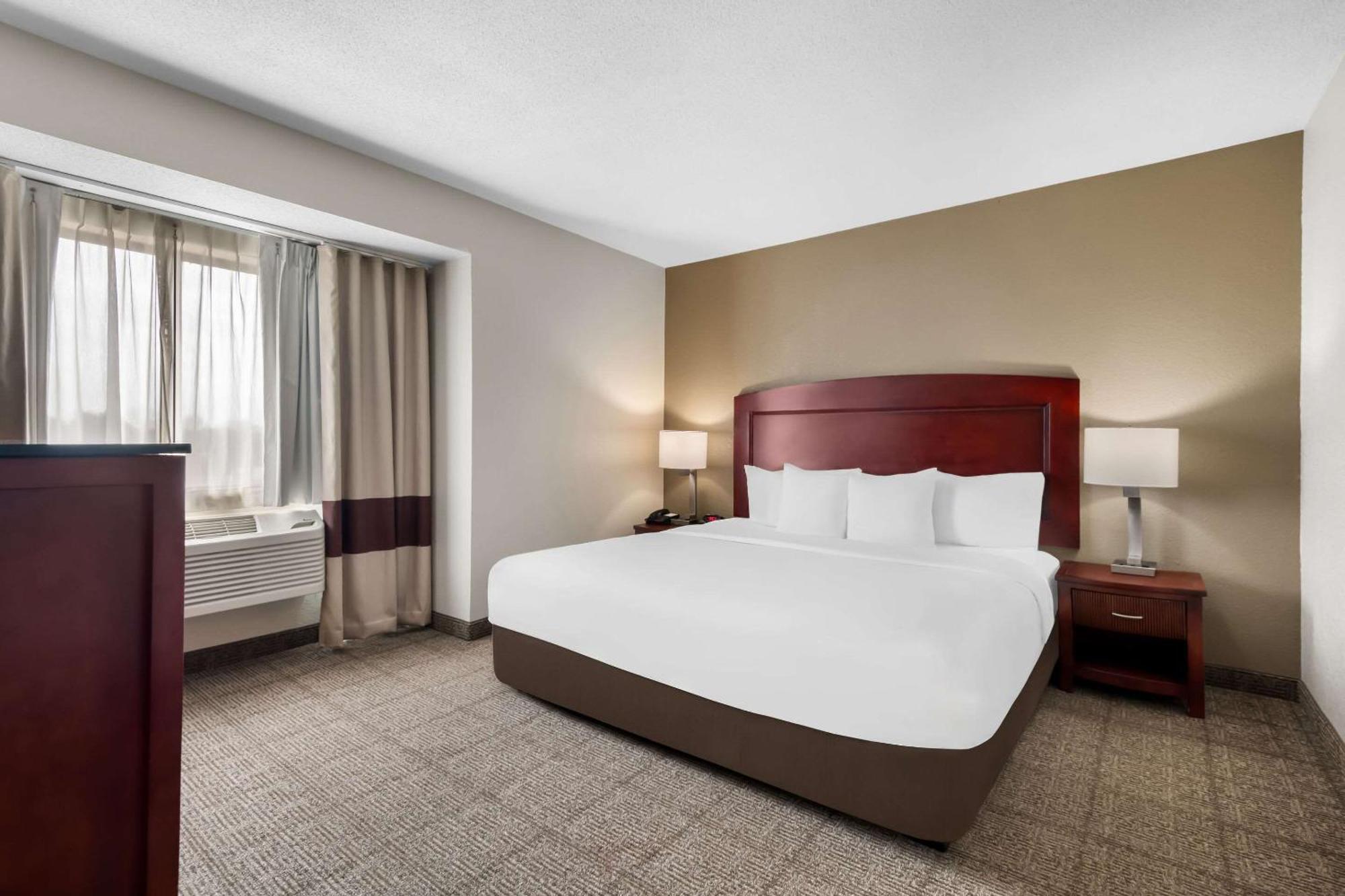 Comfort & Hotel