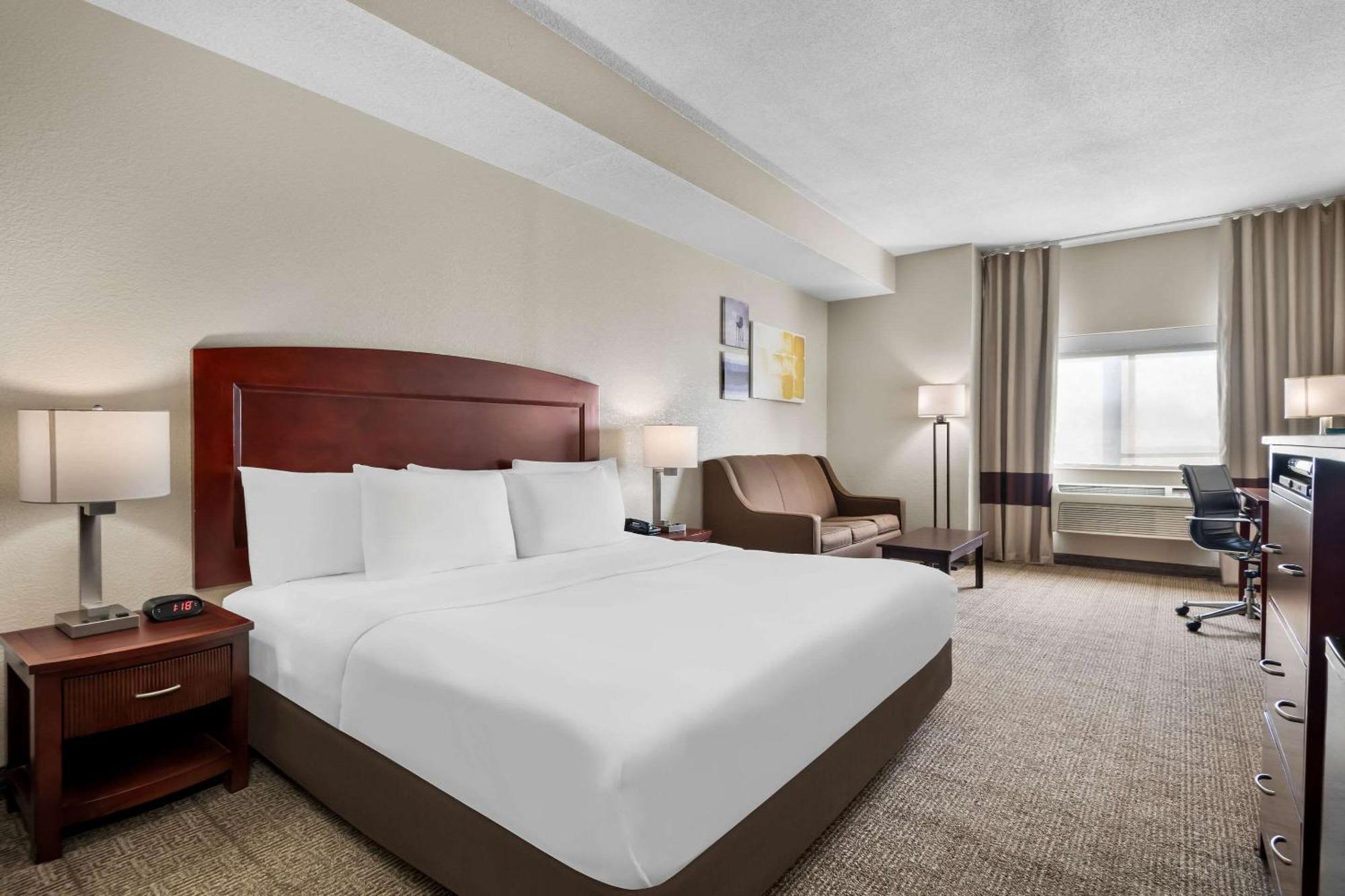Comfort & Hotel