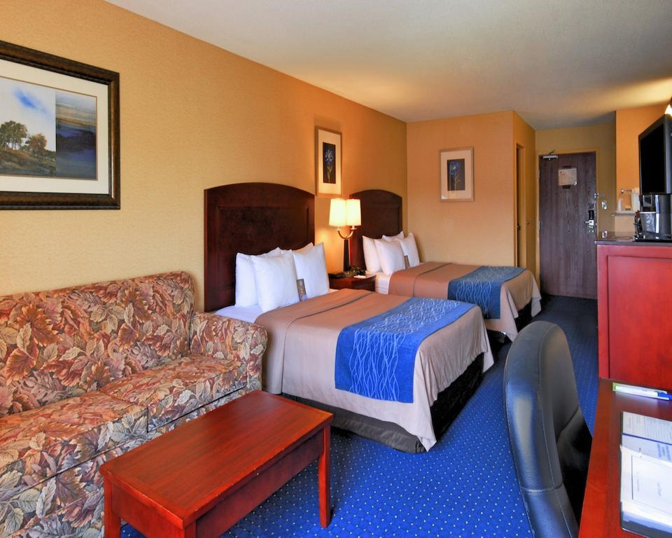Comfort & 3* North East